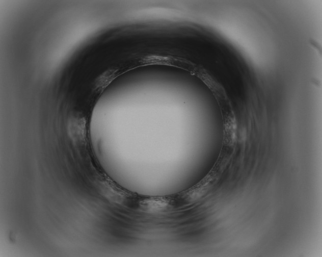 X0000091300765200708241051