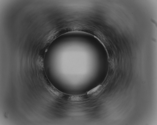 X0000091300766200708241051