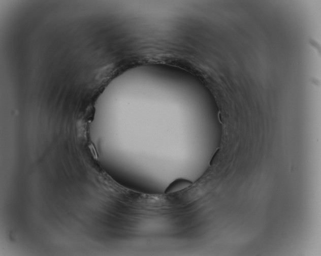 X0000091300768200708241051