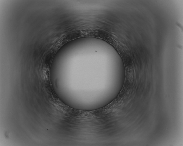 X0000091300770200708241050