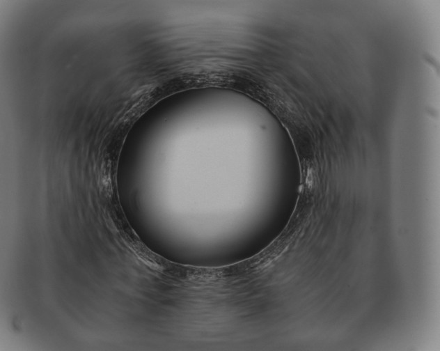 X0000091300771200708241050