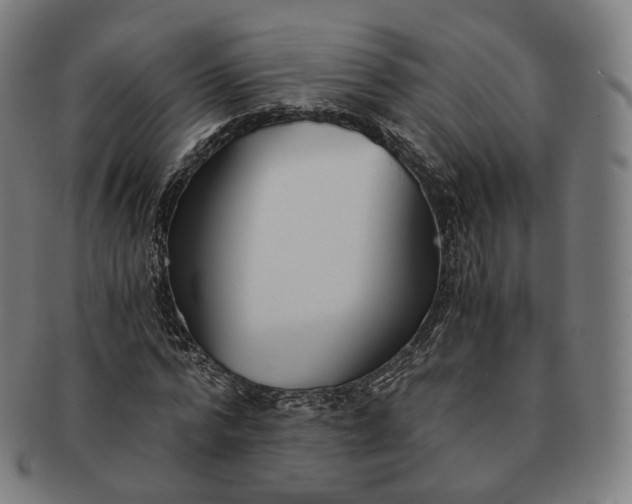 X0000091300776200708241050