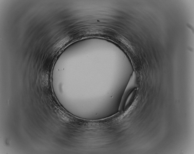 X0000091300777200708241050