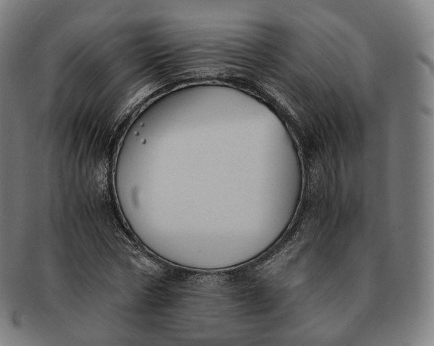 X0000091300778200708241050