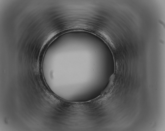 X0000091300780200708241050