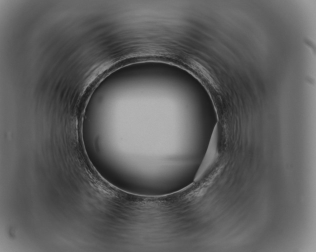 X0000091300781200708241050