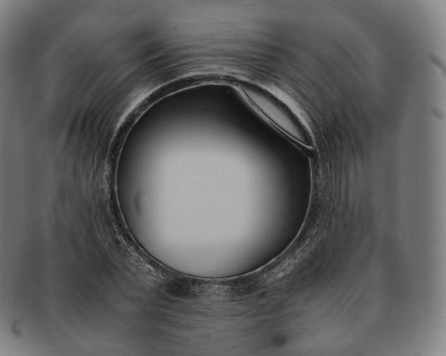 X0000091300783200708241050