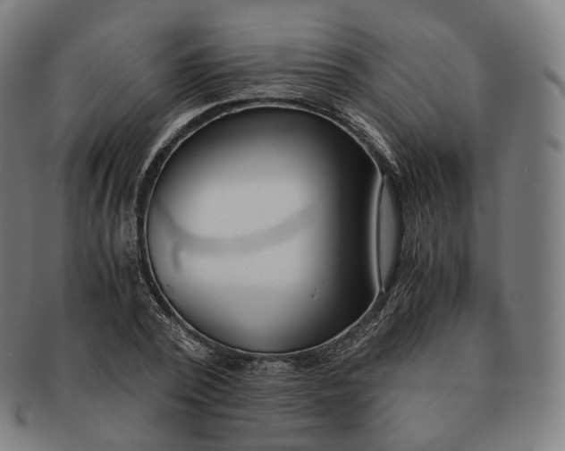 X0000091300784200708241050