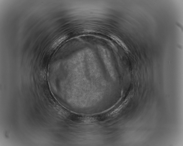 X0000091300785200708241050