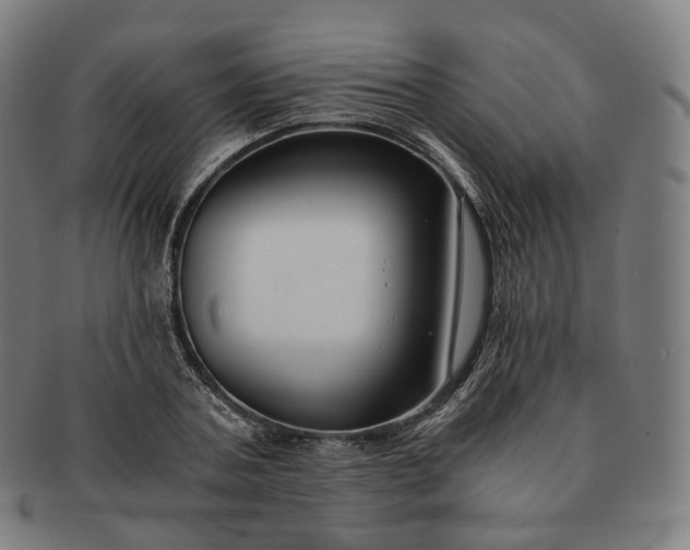 X0000091300787200708241050