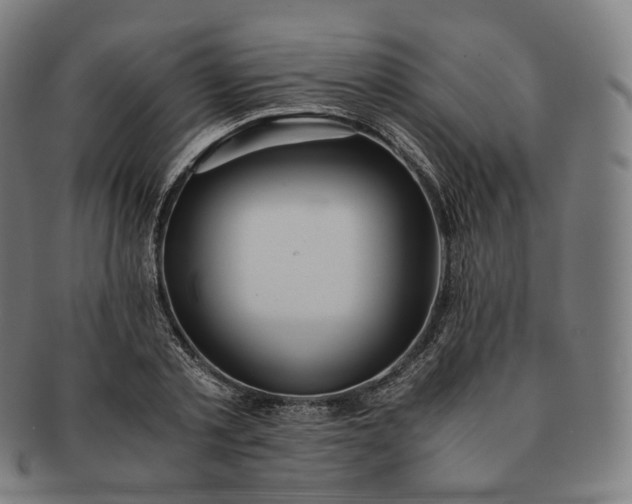 X0000091300789200708241050