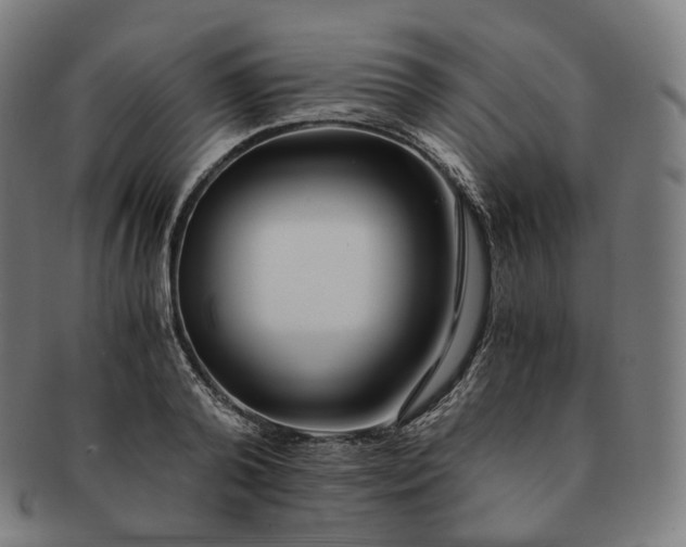 X0000091300792200708241050