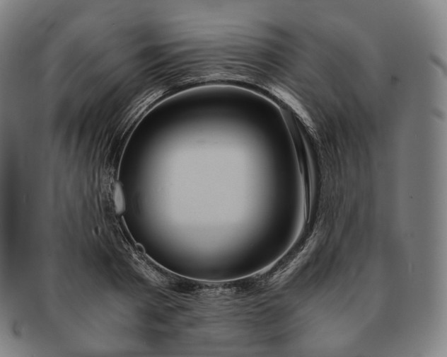 X0000091300793200708241050