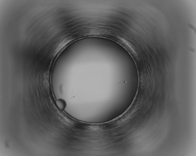 X0000091300794200708241050