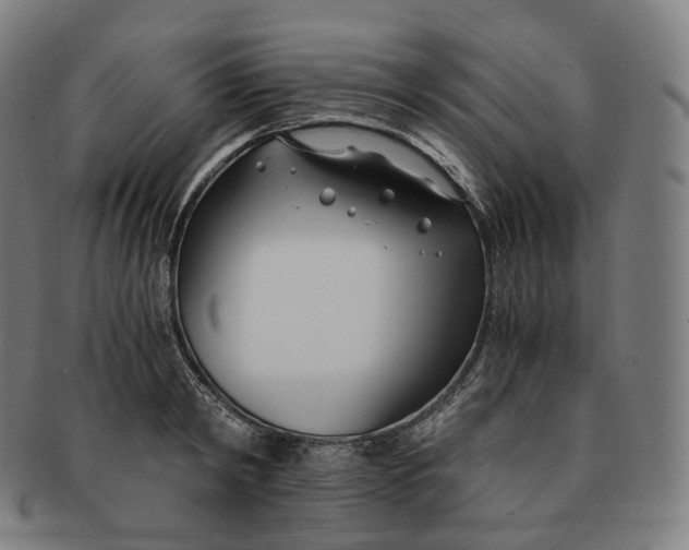 X0000091300798200708241050