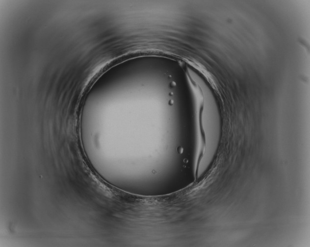 X0000091300799200708241050