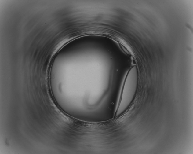 X0000091300803200708241050