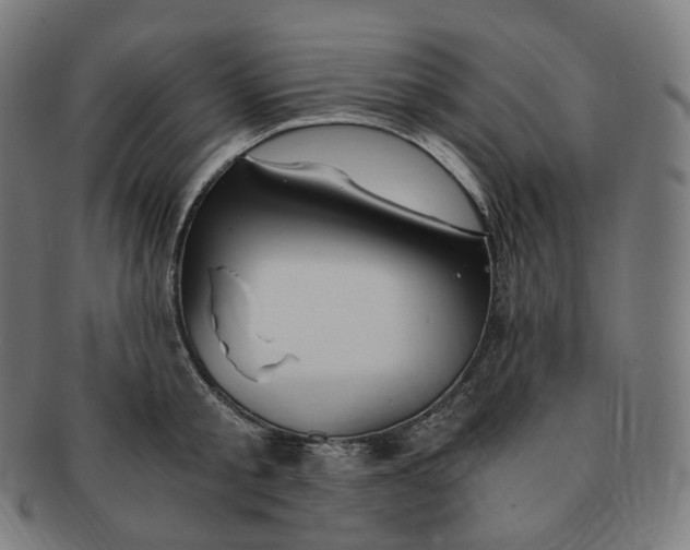 X0000091300805200708241050