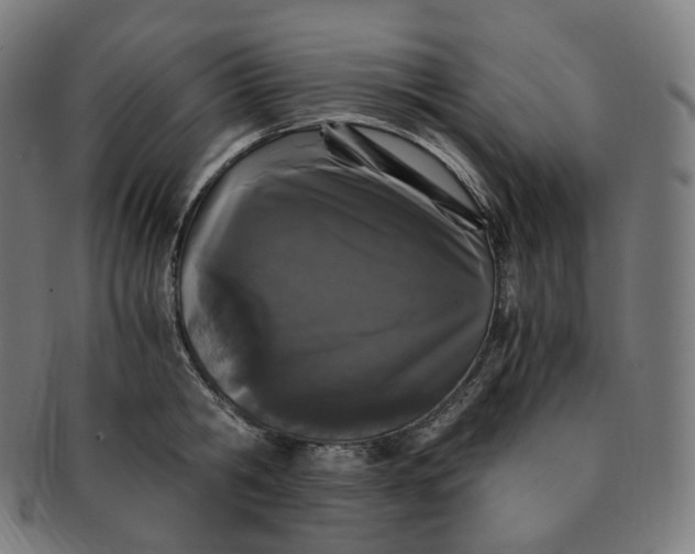 X0000091300806200708241050