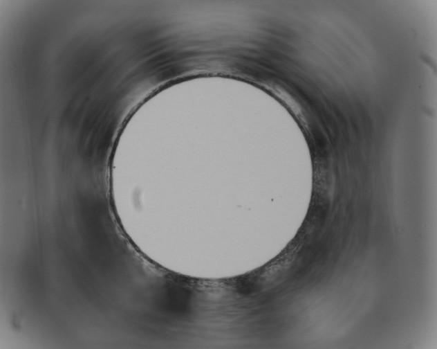 X0000091300807200708241050