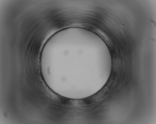 X0000091300808200708241049