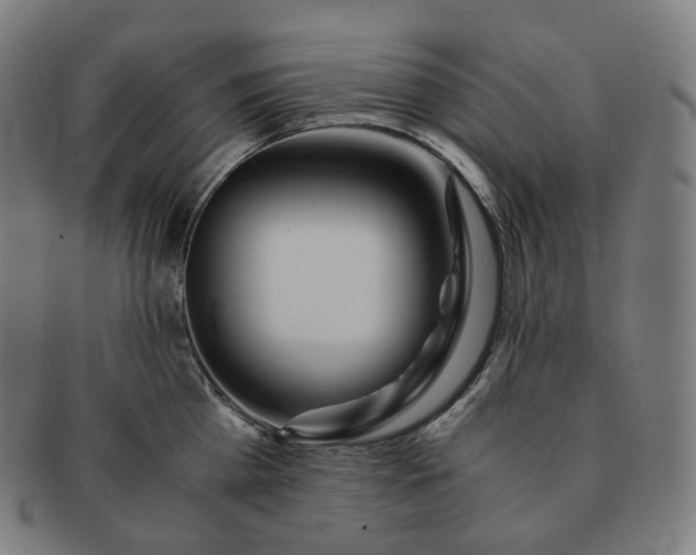 X0000091300809200708241049