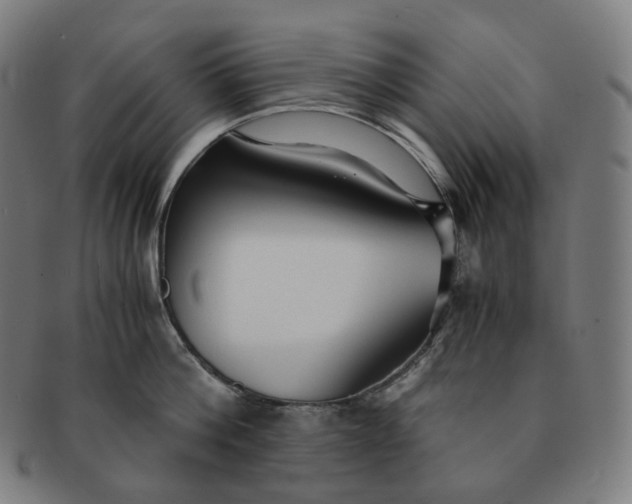 X0000091300812200708241049