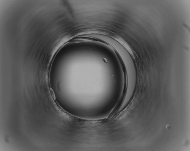 X0000091300813200708241049