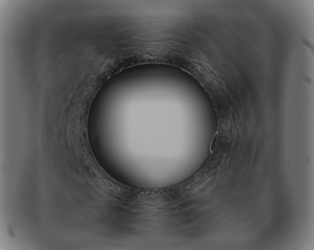 X0000091300817200708241049