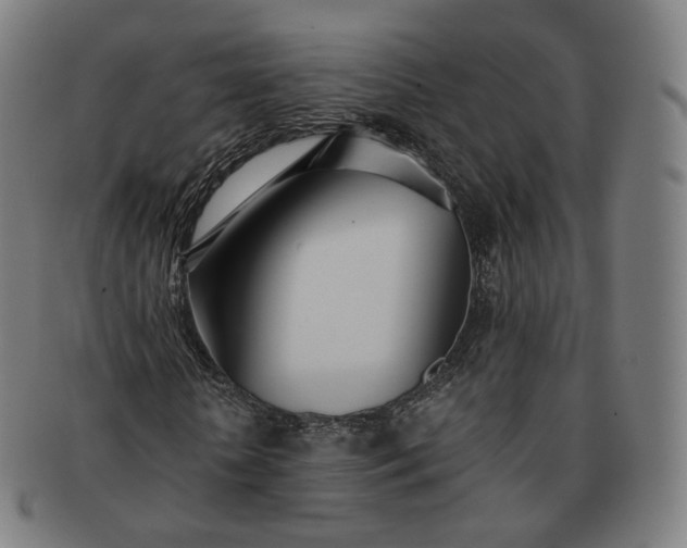 X0000091300818200708241049