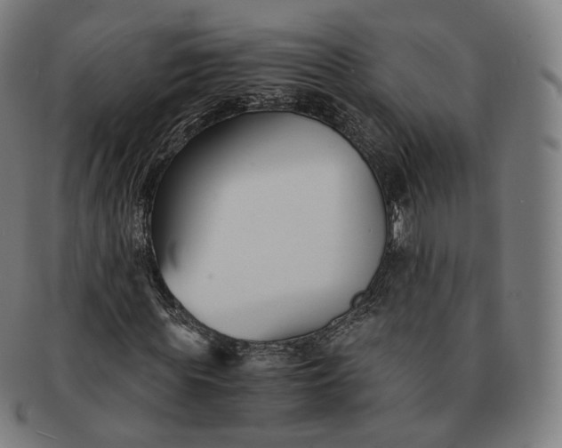 X0000091300819200708241049