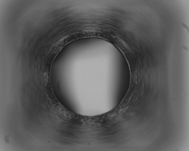 X0000091300821200708241049