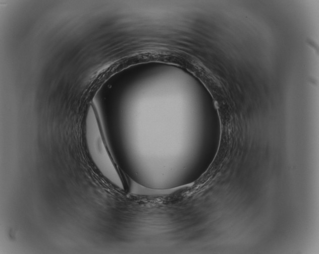 X0000091300822200708241049