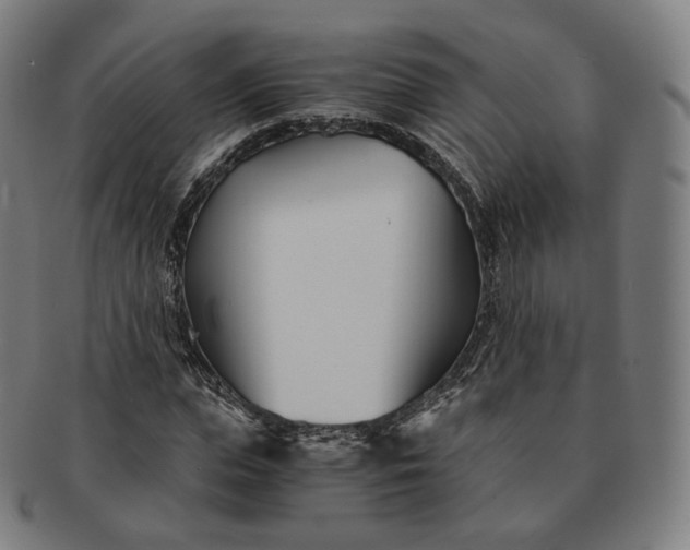 X0000091300823200708241049