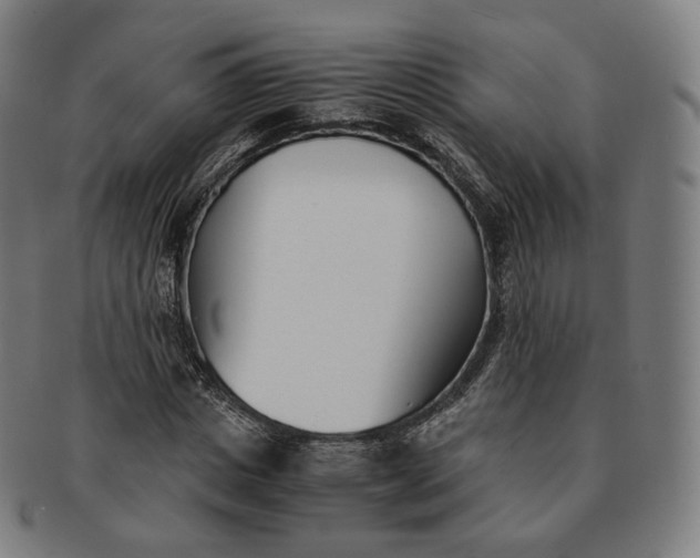 X0000091300825200708241049