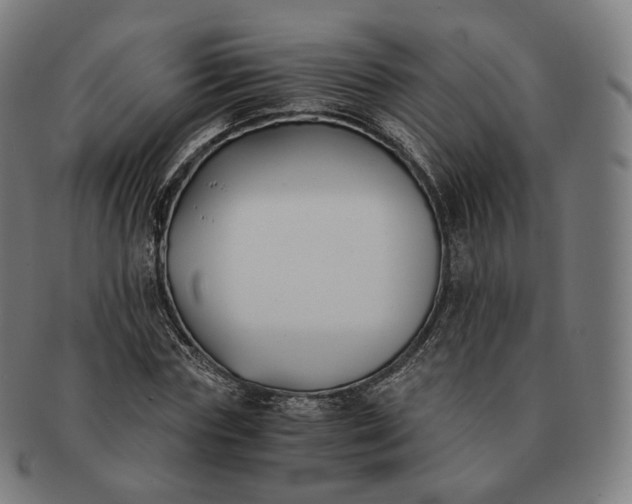 X0000091300827200708241049