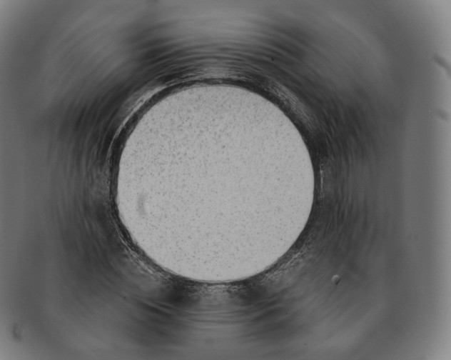 X0000091300828200708241049