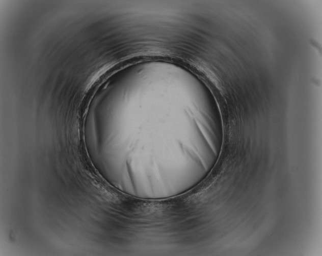 X0000091300829200708241049