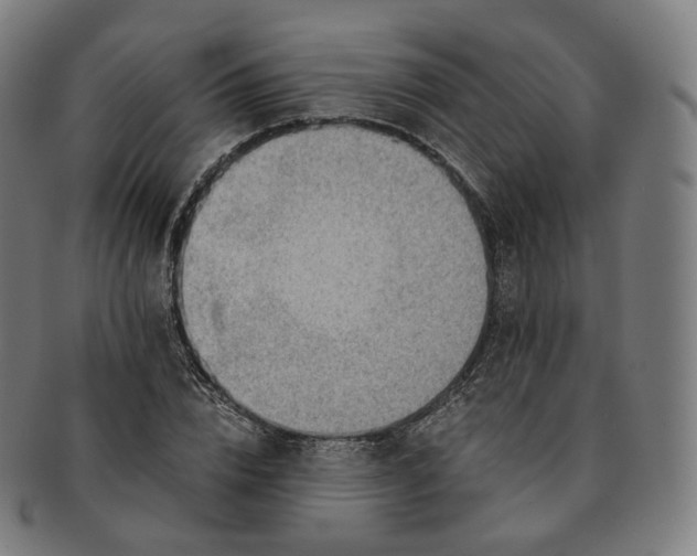 X0000091300832200708241049