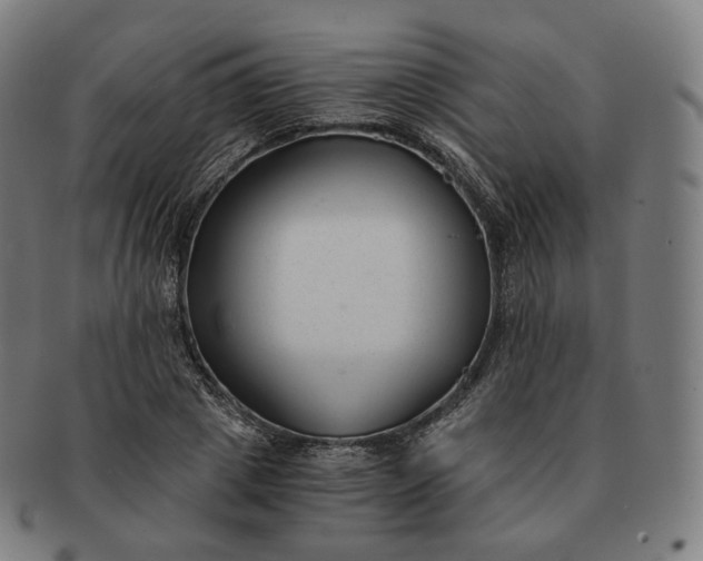 X0000091300833200708241049