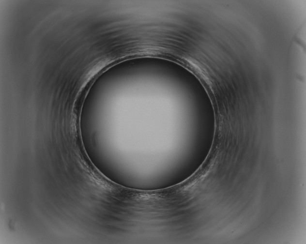 X0000091300835200708241049