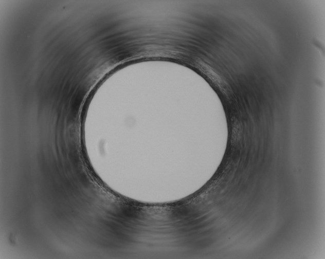 X0000091300836200708241049