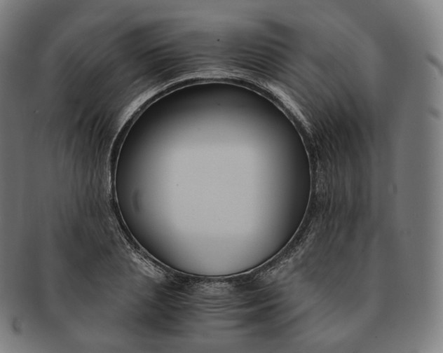 X0000091300837200708241049