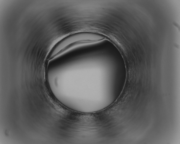 X0000091300838200708241049