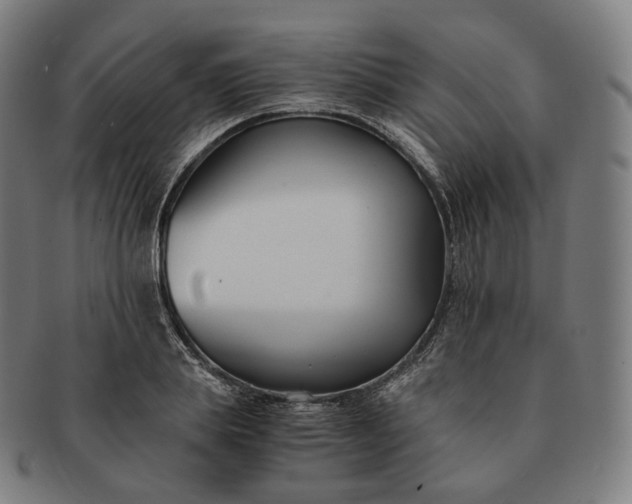 X0000091300839200708241049