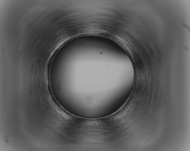 X0000091300843200708241049