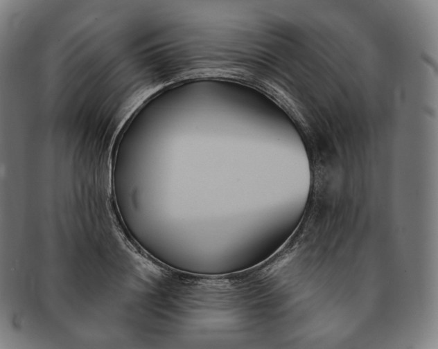 X0000091300844200708241049