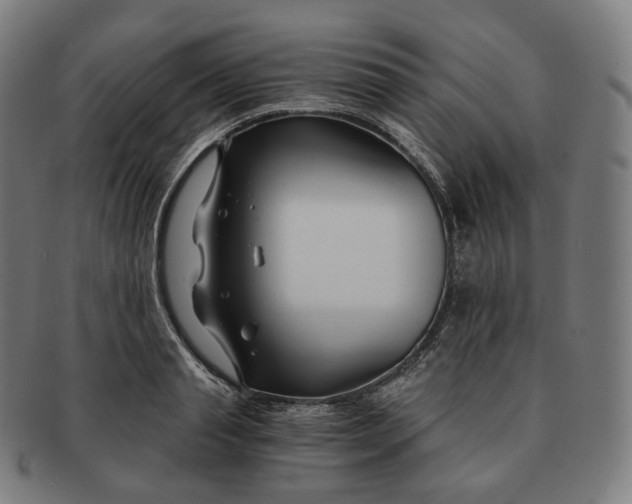 X0000091300845200708241049