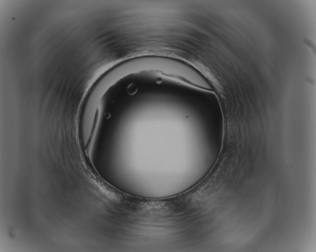 X0000091300846200708241049