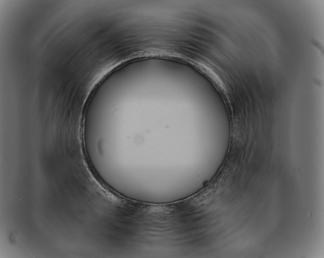 X0000091300847200708241049